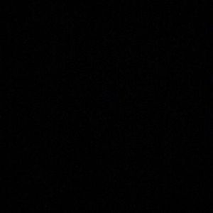 Meet your Posher, Carter